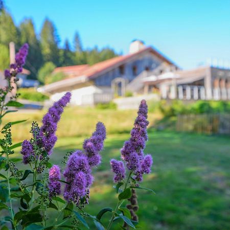 Auberge De La Poulcière Gérardmer Buitenkant foto